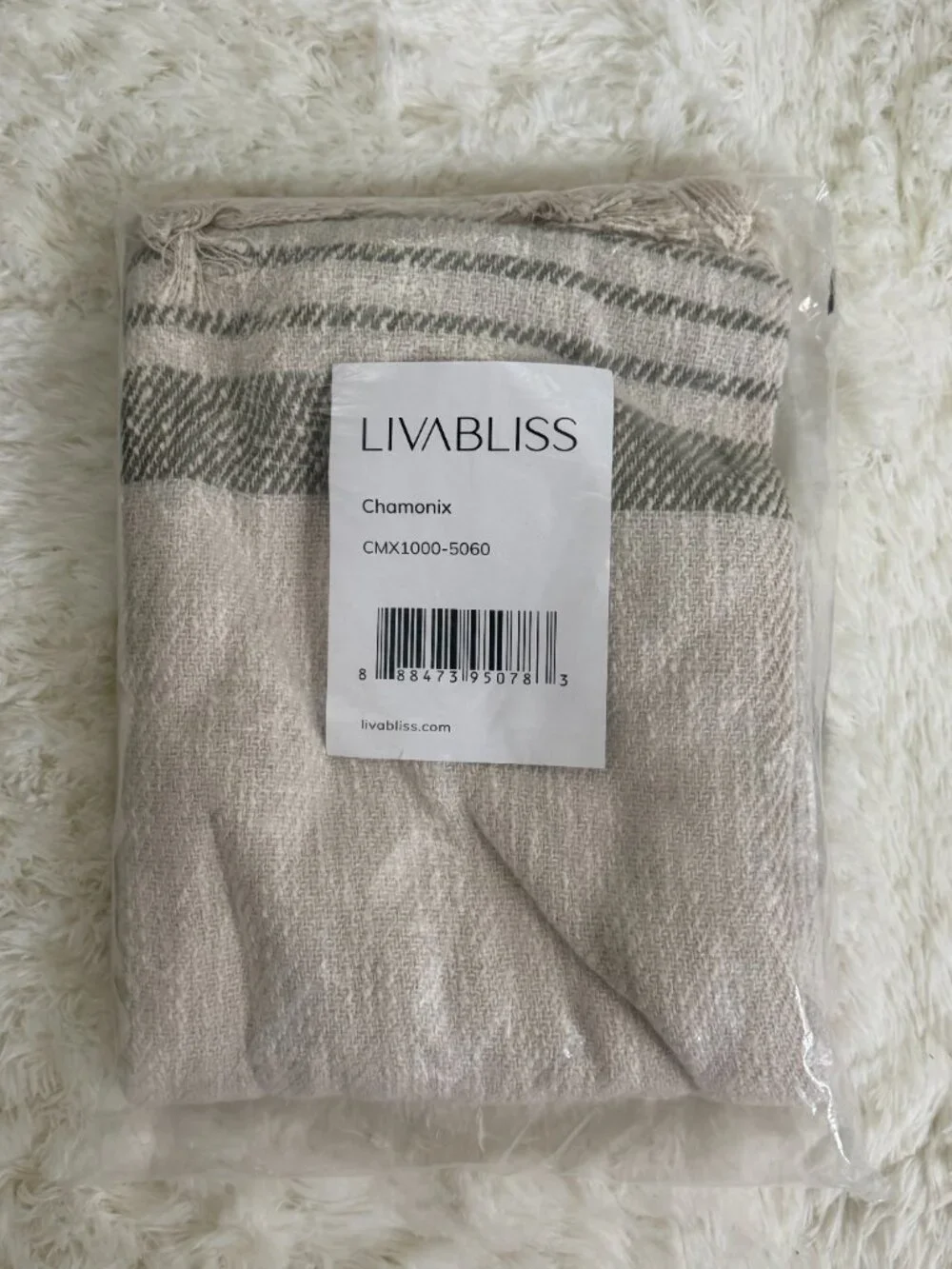 Pottery Barn Lallie Handwoven Throw